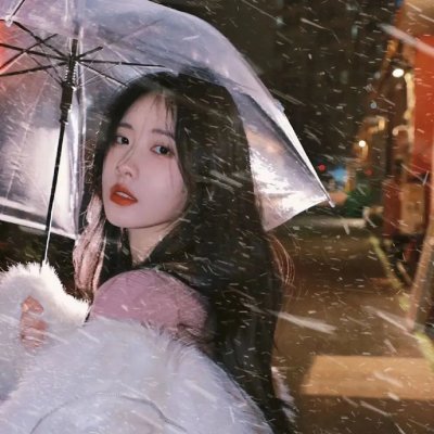 海豚的故事2